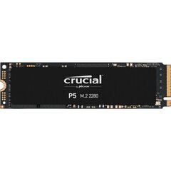 Crucial CT1000P5SSD8 hind ja info | Sisemised kõvakettad (HDD, SSD, Hybrid) | kaup24.ee