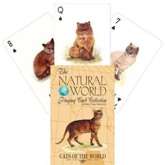 Mängukaardid Cats of the Natural World hind ja info | Hasartmängud, pokker | kaup24.ee