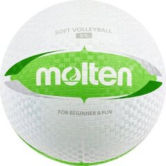Võrkpall Molten, valge/roheline hind ja info | Võrkpalli pallid | kaup24.ee