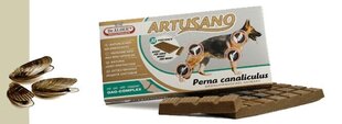 Dr. Alders toidulisand koera liigestele Artusano 200g hind ja info | Toidulisandid ja parasiitide vastased tooted | kaup24.ee