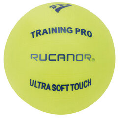 Võrkpall Rucanor Training Pro II hind ja info | Võrkpalli pallid | kaup24.ee