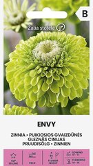 Pruudisõlg Envy hind ja info | Lilleseemned | kaup24.ee