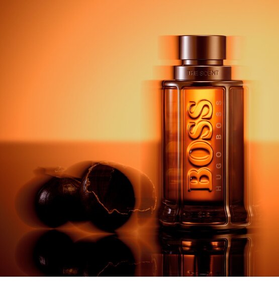 Parfüümvesi Hugo Boss BOSS The Scent Le Parfum EDP meestele 50 ml Internetist