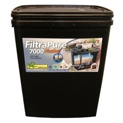 Filtro komplektas Ubbink FiltraPure 7000 PLUS hind ja info | Tiigi- ja basseini hooldusvahendid | kaup24.ee