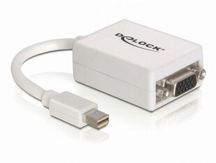 Adapter Delock miniDisplay 20pin (M) – VGA 15pin (F) hind ja info | USB jagajad, adapterid | kaup24.ee