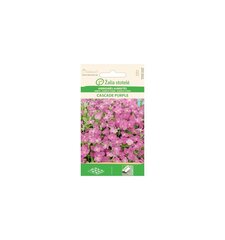 Hübriid Aubrieta Cascade Purple hind ja info | Lilleseemned | kaup24.ee