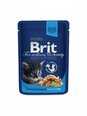 Brit Premium Lemmikloomatarbed internetist