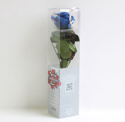Stabiilne roos Amorosa, tumesinine hind ja info | Uinuvad roosid, taimed | kaup24.ee
