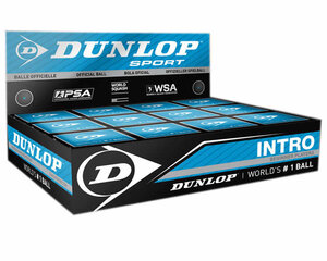 Tennisepall Dunlop Intro, 12tk hind ja info | Squash | kaup24.ee