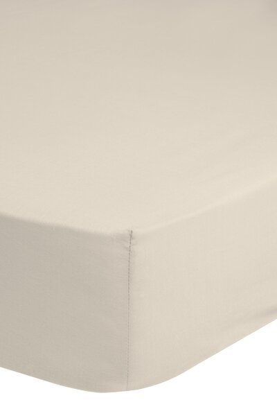 Puuvillane voodilina kummiga JERSEY Emotion 180x220 cm, kreemjas hind ja info | Voodilinad | kaup24.ee