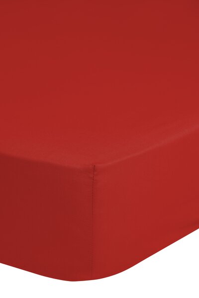 Puuvillane voodilina kummiga JERSEY Emotion 90x220 cm, punane