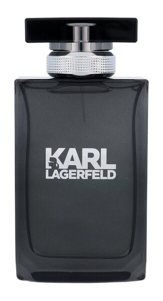 Meeste parfümeeria Karl Lagerfeld Pour Homme Lagerfeld EDT: Maht - 100 ml hind ja info | Meeste parfüümid | kaup24.ee