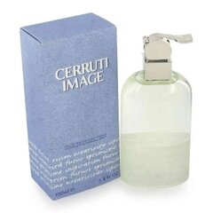 Tualettvesi Cerruti Image EDT meestele 100 ml Dublikatas [49010] hind ja info | Meeste parfüümid | kaup24.ee