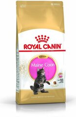 Royal Canin Meini tõugu kassipoegadele, 4 kg hind ja info | Kuivtoit kassidele | kaup24.ee