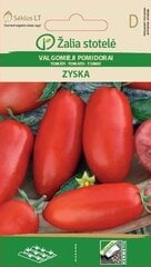 Tomat Zyska hind ja info | Köögivilja-, marjaseemned | kaup24.ee