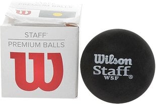 Squashi pall Wilson Staff, 1 tk. hind ja info | Padel, squash | kaup24.ee