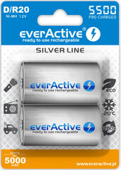 Patareid EverActive AAEVHRL20-5500B2 hind ja info | Patareid | kaup24.ee