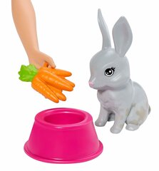 Nukk Barbie komplekt "Hoolige lemmikloomade eest" hind ja info | Tüdrukute mänguasjad | kaup24.ee
