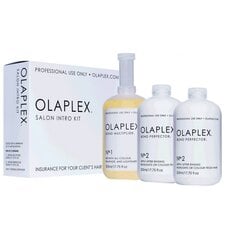 Taastav juuksetoodete komplekt Olaplex Salon Into Kit 3x525 ml hind ja info | Maskid, õlid, seerumid | kaup24.ee