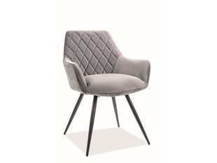 2 tooli komplekt Signal Meble Linea, hall hind ja info | Söögilaua toolid, köögitoolid | kaup24.ee