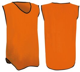 Laste T-särk jalgpallitrenniks Avento 75OB, oranž hind ja info | Jalgpalli varustus ja riided | kaup24.ee