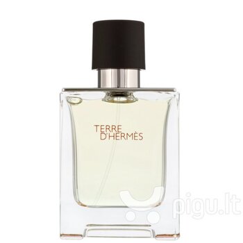 Tualettvesi Hermes Terre D'hermes EDT meestele 30 ml hind ja info | Meeste parfüümid | kaup24.ee