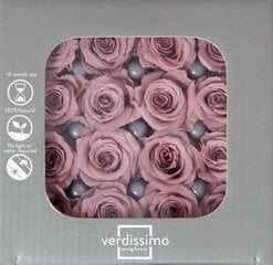 Stabiliseeritud roosid Princess, 16 tk, Cherry Blossom hind ja info | Uinuvad roosid, taimed | kaup24.ee