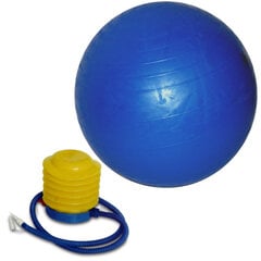 Võimlemispall pumbaga 75 cm, sinine hind ja info | Võimlemispallid | kaup24.ee