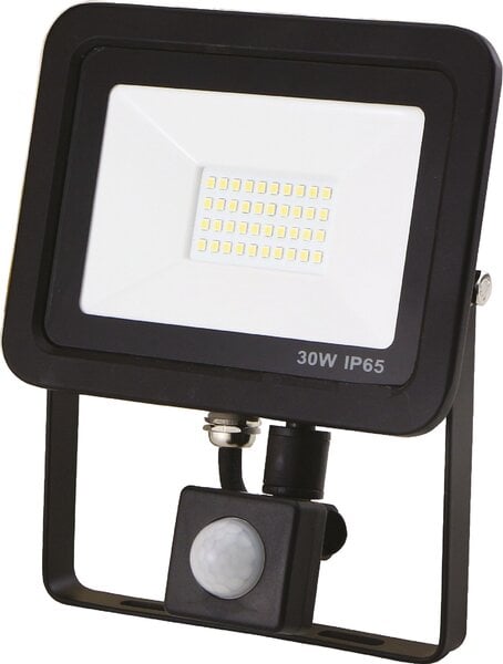 LED prožektor EUROLIGHT liikumisanduriga 30W hind ja info | Aia- ja õuevalgustid | kaup24.ee