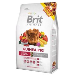 Brit Animals Guinea Pig 300 g hind ja info | Toit närilistele | kaup24.ee