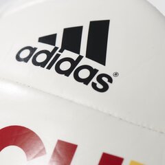 Adidas Jalgpall EURO16OLP GER C hind ja info | Jalgpalli pallid | kaup24.ee