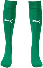 Jalgpallisokid Puma Team II Socks Power Green hind ja info | Jalgpalli varustus ja riided | kaup24.ee