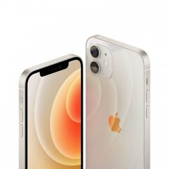 Apple iPhone 12 64GB valge - MGJ63 hind ja info | Mobiiltelefonid | kaup24.ee