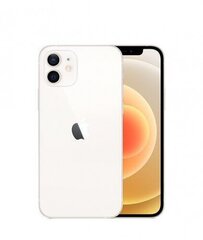 Apple iPhone 12 64GB valge - MGJ63 hind ja info | Mobiiltelefonid | kaup24.ee