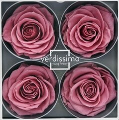 Stabiliseeritud Premium roosid 4 tk. hind ja info | Uinuvad roosid, taimed | kaup24.ee