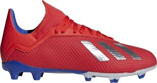 Poiste jalgpallijalatsid Adidas X 18.3 FG Jr BB9371, punased hind ja info | Jalgpallijalatsid | kaup24.ee