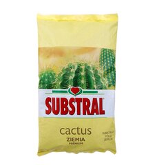 Kaktuse krunt Substral 3 l hind ja info | Muld, turvas, kompost | kaup24.ee