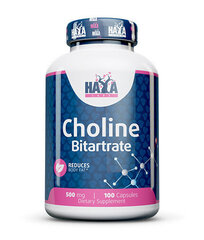 Haya Labs Choline Bitartrate 500mg 100 kaps hind ja info | Vitamiinid, toidulisandid, preparaadid tervise heaoluks | kaup24.ee