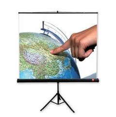 Projektori ekraan statiiviga Avtek Tripod Standard, 175 x 175 cm, (1:1) hind ja info | Projektori ekraanid | kaup24.ee