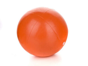 Võimlemispall SW mini ball, 20 cm hind ja info | Võimlemispallid | kaup24.ee