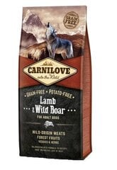 Kuivtoit koertele Carni Love Lamb & Wild Boar for Adult, 12 kg hind ja info | Kuivtoit koertele | kaup24.ee