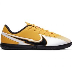 Poiste jalgpallijalatsid Nike Mercurial Vapor 13, kollane hind ja info | Jalgpallijalatsid | kaup24.ee