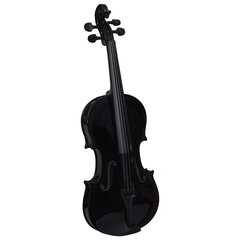 vidaXL viiuli komplekt poogna ja lõuatoega, must 4/4 hind ja info | Viiulid | kaup24.ee
