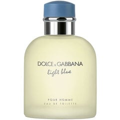 Dolce & Gabbana Light Blue Pour Homme EDT meestele 125 ml hind ja info | Meeste parfüümid | kaup24.ee
