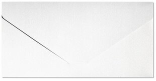 Ümbrikud DL Pearl, valge, 5 tk hind ja info | Ümbrikud, postkaardid | kaup24.ee