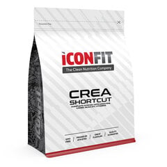 Iconfit Crea Shortcut Complex 1 kg (kreatiin, bcaa, energia) hind ja info | Kreatiin | kaup24.ee