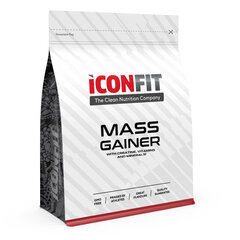 Iconfit Mass Gainer massilisaja 1,5 kg hind ja info | Toidulisandid ja preparaadid kehakaalu suurendamiseks | kaup24.ee