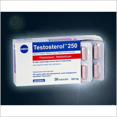 Toidulisand Testosterol 250, 30 kapslit. hind ja info | Testosterooni stimulaatorid | kaup24.ee