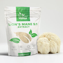 Toidulisand Raw Powders Lion's Mane 5: 1 Extract Powder, 100 g hind ja info | Vitamiinid, toidulisandid, preparaadid tervise heaoluks | kaup24.ee