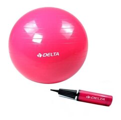 Võimlemispall Delta FS pumbaga, 55 cm, roosa hind ja info | Võimlemispallid | kaup24.ee